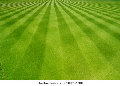 Perfectly striped freshly mowed garden lawn in summer