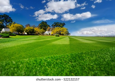 Perfectly Striped Freshly Mowed Garden Lawn On Bright Summer Day