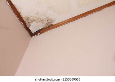 A Perforated Plasterboard Roof, A Leaky Roof, A Leaky Roof Corner