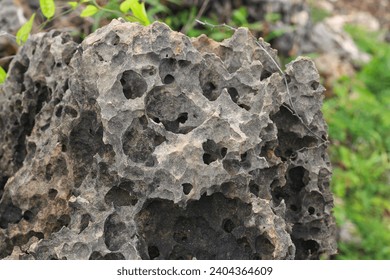 Perforated rock with holes on the steep shore.