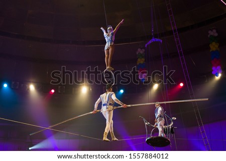 performance of aerialists in the circus arena