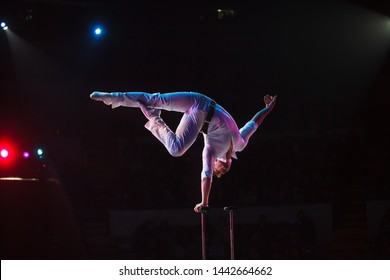 performance of air acrobats in the circus