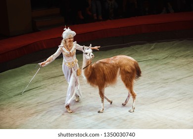 performance of a dog trainer in a circus