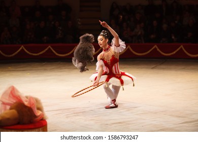 performance of a dog trainer in a circus