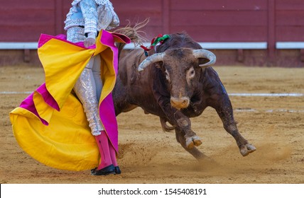 Performance of a Spanish Bullfighter