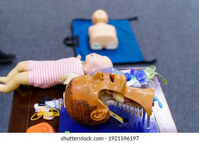 Performing Cpr On A Simulation Mannequin Baby Dummy During Medical Training. Pediatric Basic Life Support.