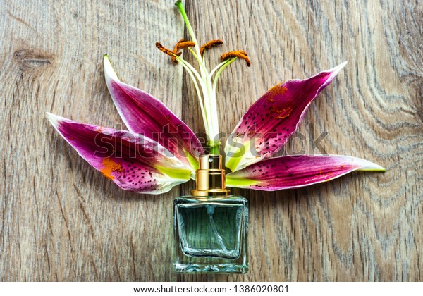 Poundland perfume lily petals hot sale