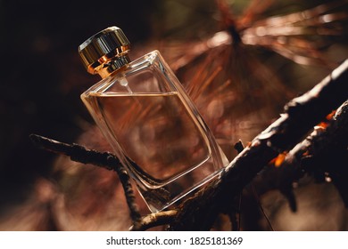 woody aromatic perfume