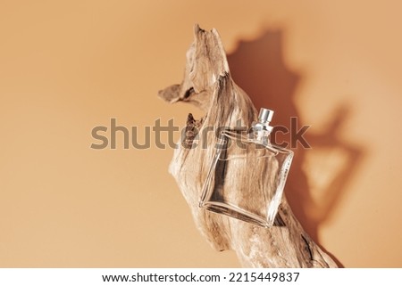 Perfume with woody notes concept with transparent perfume bottle lying near the aged weathered wooden snag.