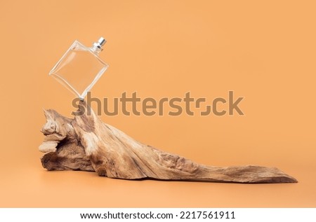Perfume with woody notes concept with transparent perfume bottle falling on an aged weathered wooden snag.