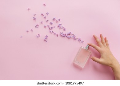 perfumery and floral scent concept. hand holding stylish bottle of perfume with spray of lilac flowers on pink background. creative trendy flat lay with space for text. modern image