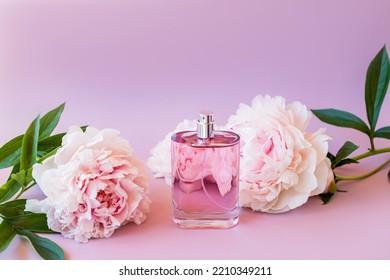 Perfumes Of Natural Cosmetics In A Glass Bottle On A Pink Background And Delicate Peony Flowers. The Aroma Of Women's Perfume. Space For Text