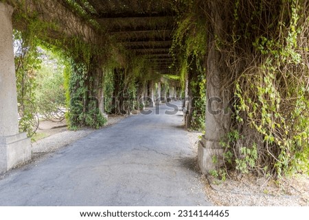 Pergola - concrete arch passage in the garden, surrounded by vines, tourist attraction of Wroclaw, Poland.