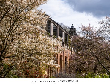 Pergola garden photographed in spring with the trees in blossom, at Hampstead Heath, north London UK - Shutterstock ID 1962205558