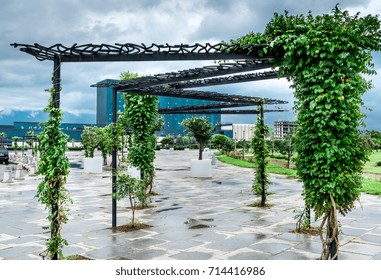 Pergola In The Park Of Batumi With Green Woody Vines, Georgia