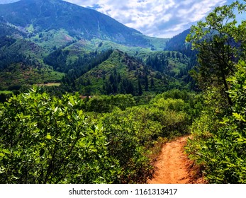 Perham Creek Trail In Carbondale, CO