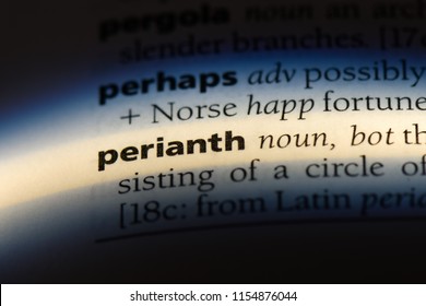 Perianth Word In A Dictionary. Perianth Concept.