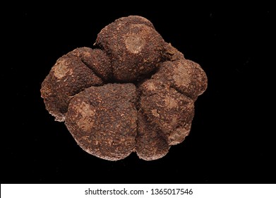 Perigord Truffle On Black Background