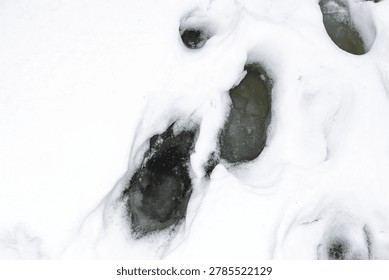 Perilous boot marks deeply pierce soft, melting river ice, exposing dark water beneath. A clear warning of dangerous spring conditions