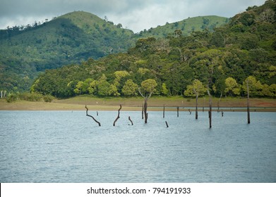 Periyar National Park , Periyar Tiger Reserve In Kerala India