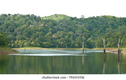 Periyar National Park , Periyar Tiger Reserve In Kerala India