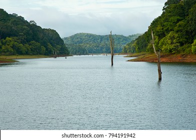 Periyar National Park , Periyar Tiger Reserve In Kerala India