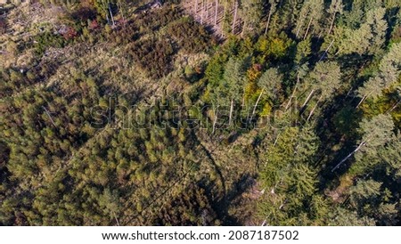 Perlacher Forst seen from aerial drone view. Forest used for sustainable explotation of timber in Germany
