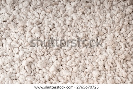 Perlite textured background, crushed amorphous volcanic glass close up. White gardening mineral, soil improver in floristry, pumice stone fertilizer for succulents and pot plants