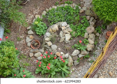 Permaculture element - herb spiral in early spring