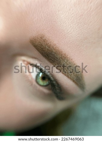 permanent eyebrow make up close up