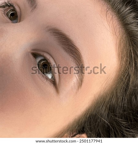 permanent eyebrow make up close up