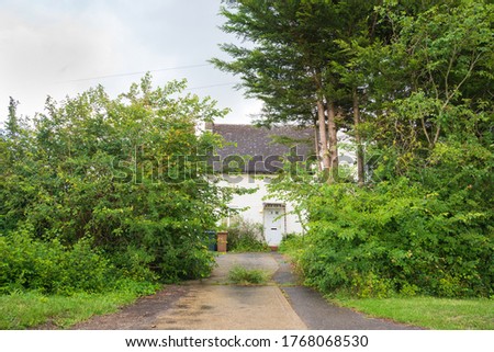 Perry Green, Much Hadham, Hertfordshire. UK. July 2nd 2020. Entrance to a local authority council house with an overgrown and unkempt hedge.