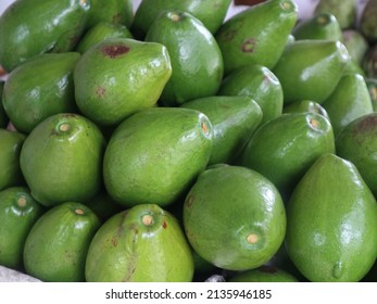 Persea americana or avocado is believed to have originated in central america, this fruit was introduced to indonesia by the dutch east indies around 1920-1930