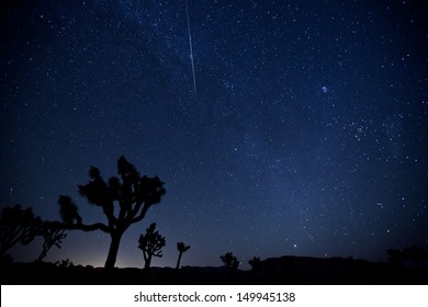 Perseid Meteor Shower