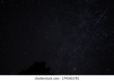 The Perseids Are A Prolific Meteor Shower Associated With The Comet Swift–Tuttle.