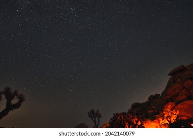 The Perseids Are A Prolific Meteor Shower Associated With The Comet Swift–Tuttle. Photos Shot At Joshua Tree National Park In Southern California, Which Is Popular For Night Skies.