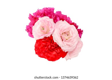 4,922 Pink persian buttercup flower Images, Stock Photos & Vectors