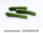 Persian cucumber on white background. Persian cucumbers are small, with smooth skin, and have very few seeds. They are less watery and have a milder flavor than regular cucumbers