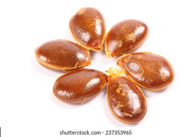 Persimmon Seeds Isolated On White Background