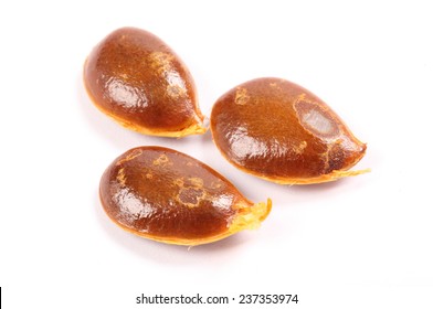 Persimmon Seeds Isolated On White Background