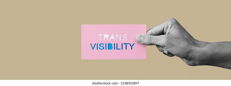 A Person, In Black And White, Holds A Sign With The Text Trans Visibility Cutout In It, With The Colors Of The Transgender Pride Flag, On A Beige Background, In A Panoramic Format To Use As Web Banner