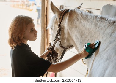 Person brushing a white horse inside stable, showing attentiveness and care. The stable ambiance adds a rustic charm - Powered by Shutterstock