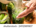 A person carefully pours boiling water into jars filled with fresh cucumbers, showcasing the traditional method of salt pickling cucumbers with garlic, dill and horseradish. Traditional preservation