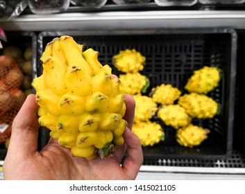 Person Choosing A Delicious Pitaya Or Dragon Fruit From Its Basket At The Counter Of A Supermarket Or Grocery Store