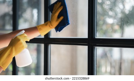 Person Cleaning The Room, Cleaning Staff Is Using Cloth And Spraying Disinfectant To Wipe The Glass In The Company Office Room. Cleaning Staff. Maintaining Cleanliness In The Organization.