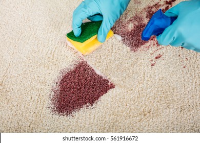 Person Cleaning Stain On Carpet With Spray Bottle