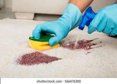 Person Cleaning Stain On Carpet With Spray Bottle