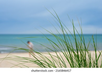 A person in the distance is captured  through the dune grass while walking along the coast of Lake Michigan in Indiana Dunes National Park, Indiana, USA. - Shutterstock ID 2165846417