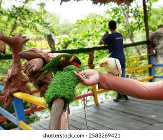 A person is feeding birds in a serene park setting. The individual holds a handful of birdseed, with a few birds perched on nearby trees, eagerly approaching for the food.