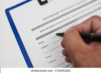 A Person Filling Ownership Transfer Certificate Document